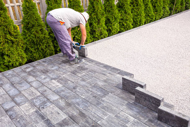 Best Driveway Paving Contractor  in Walnut Cove, NC